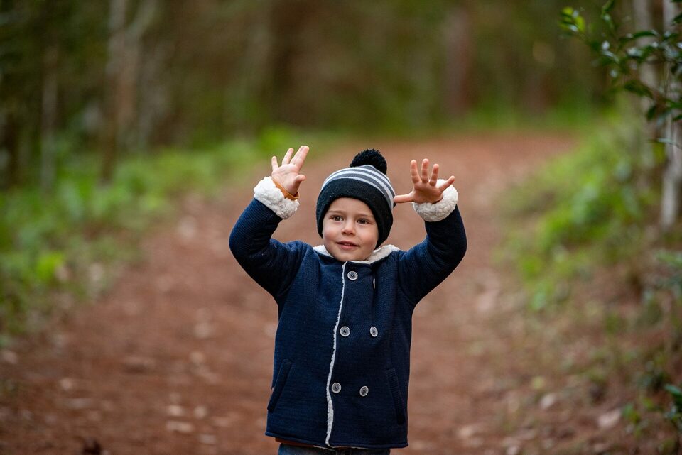 Book Família Telles